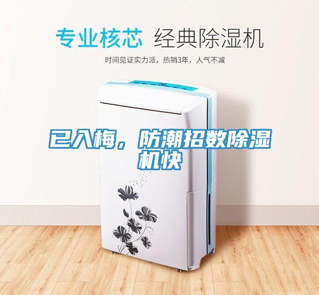 已入梅，防潮招數(shù)除濕機(jī)快