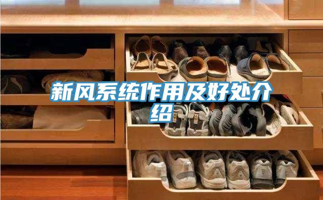 新風系統(tǒng)作用及好處介紹