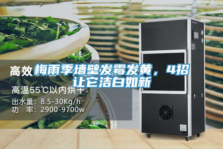梅雨季墻壁發(fā)霉發(fā)黃，4招讓它潔白如新