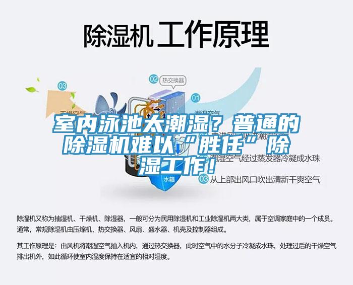 室內(nèi)泳池太潮濕？普通的除濕機(jī)難以“勝任”除濕工作！