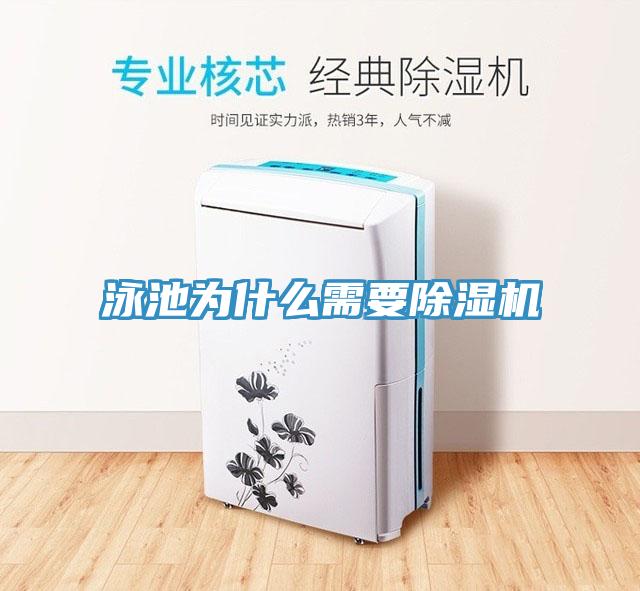 泳池為什么需要除濕機