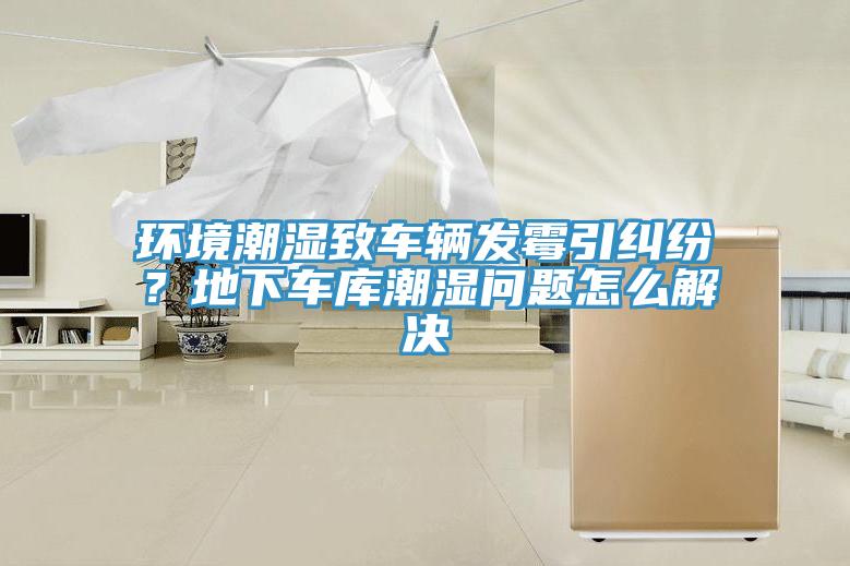 環(huán)境潮濕致車輛發(fā)霉引糾紛？地下車庫潮濕問題怎么解決