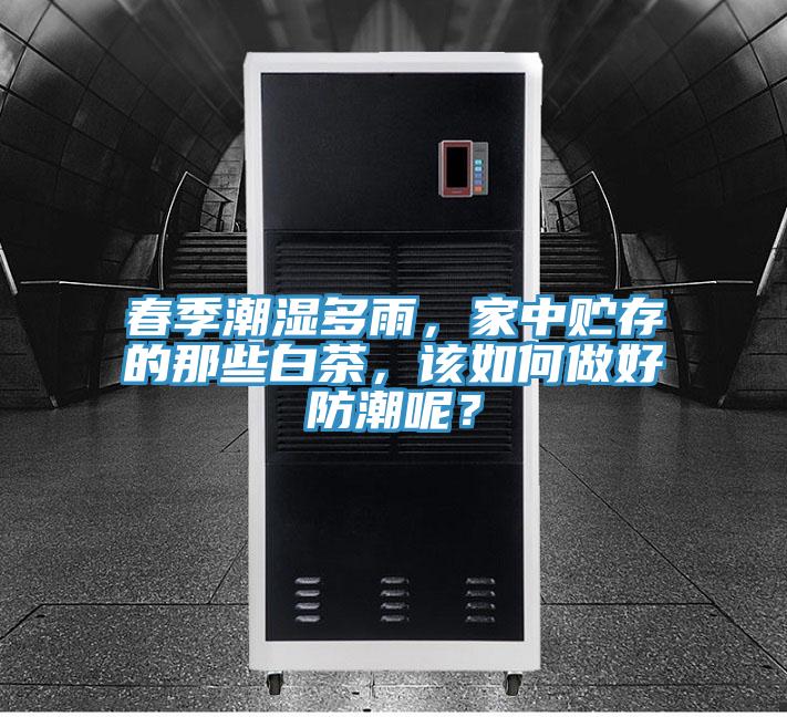春季潮濕多雨，家中貯存的那些白茶，該如何做好防潮呢？