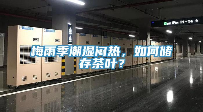 梅雨季潮濕悶熱，如何儲存茶葉？
