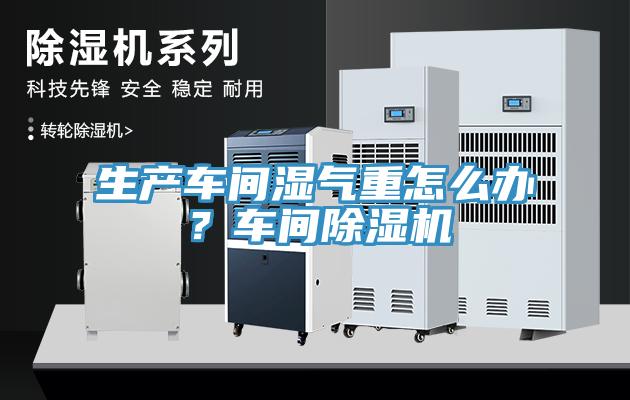 生產(chǎn)車間濕氣重怎么辦？車間除濕機
