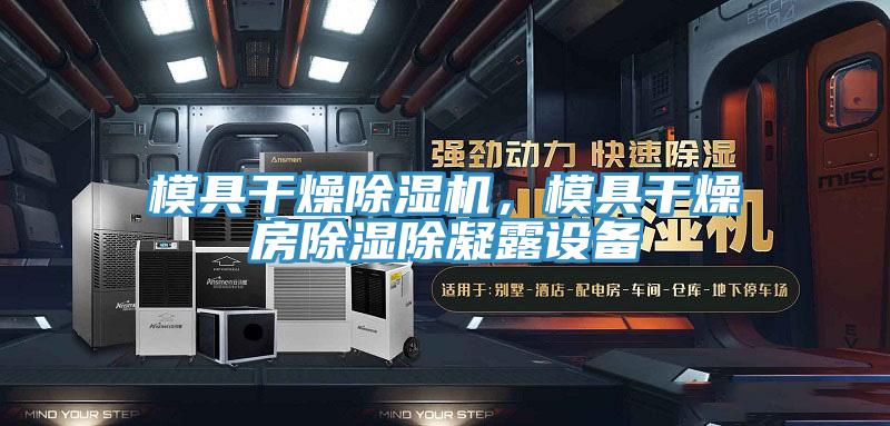 模具干燥除濕機(jī)，模具干燥房除濕除凝露設(shè)備
