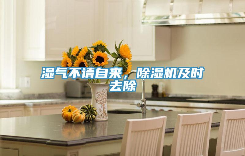 濕氣不請(qǐng)自來，除濕機(jī)及時(shí)去除
