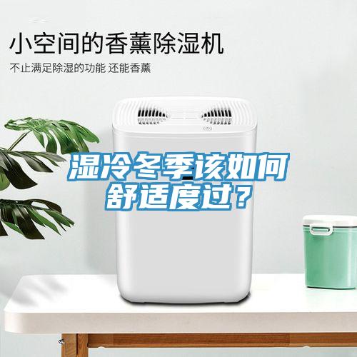 濕冷冬季該如何舒適度過(guò)？