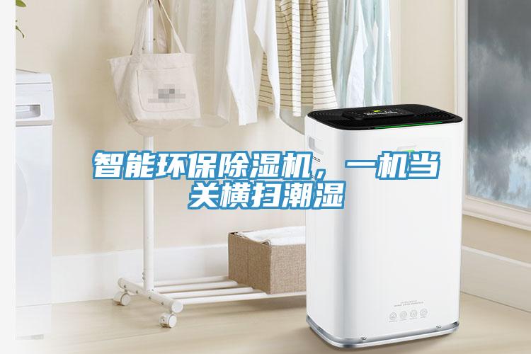 智能環(huán)保除濕機(jī)，一機(jī)當(dāng)關(guān)橫掃潮濕