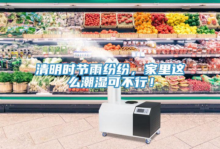 清明時節(jié)雨紛紛，家里這么潮濕可不行！