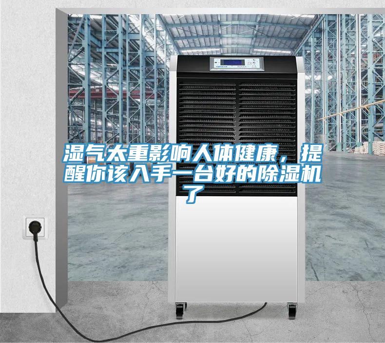 濕氣太重影響人體健康，提醒你該入手一臺(tái)好的除濕機(jī)了