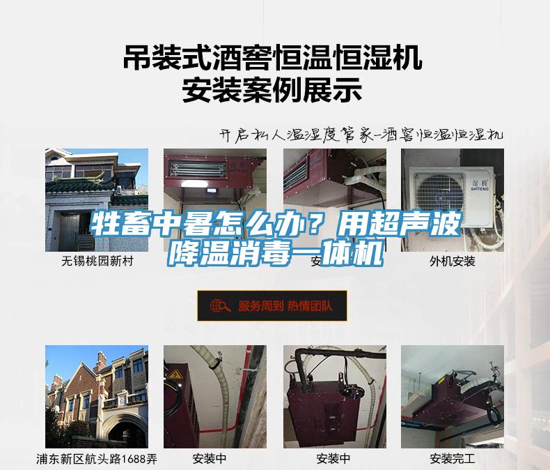 牲畜中暑怎么辦？用超聲波降溫消毒一體機(jī)