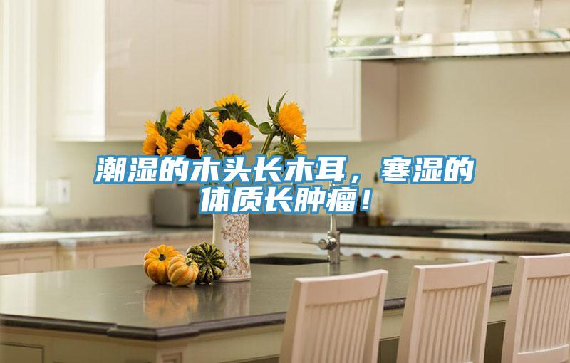 潮濕的木頭長木耳，寒濕的體質(zhì)長腫瘤！