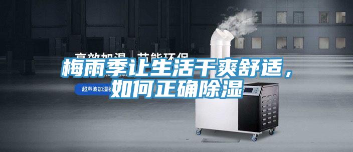 梅雨季讓生活干爽舒適，如何正確除濕