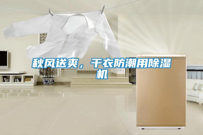 秋風(fēng)送爽，干衣防潮用除濕機