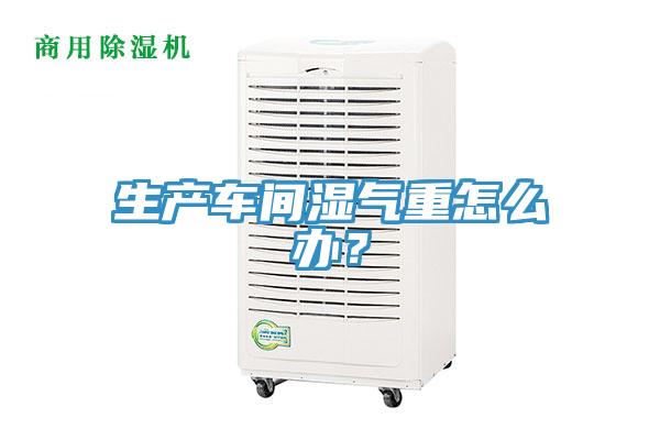 生產(chǎn)車間濕氣重怎么辦？