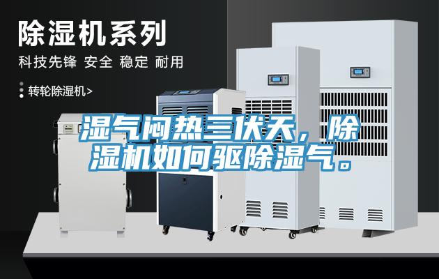 濕氣悶熱三伏天，除濕機如何驅除濕氣。