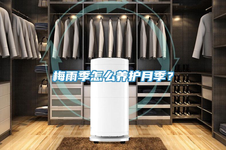 梅雨季怎么養(yǎng)護(hù)月季？