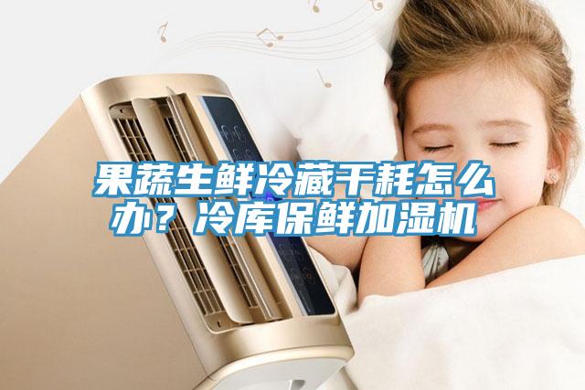 果蔬生鮮冷藏干耗怎么辦？冷庫保鮮加濕機(jī)
