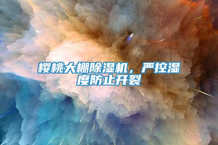 櫻桃大棚除濕機(jī)，嚴(yán)控濕度防止開裂