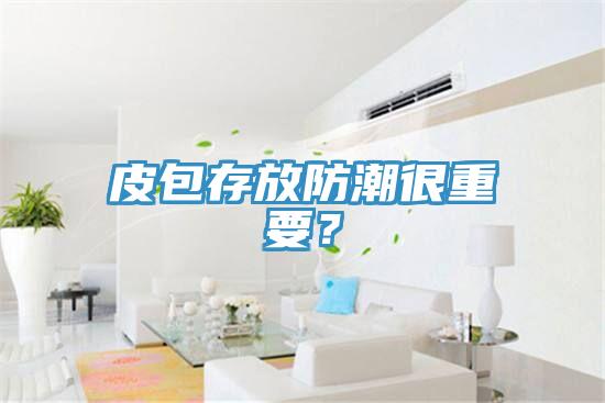 皮包存放防潮很重要？