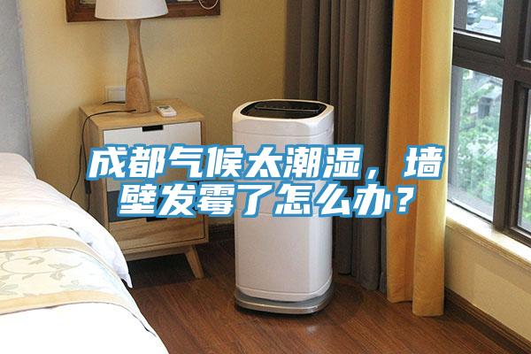 成都氣候太潮濕，墻壁發(fā)霉了怎么辦？