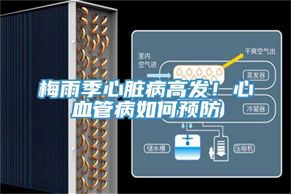 梅雨季心臟病高發(fā)！心血管病如何預(yù)防