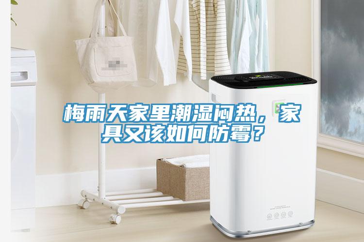 梅雨天家里潮濕悶熱，家具又該如何防霉？