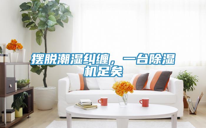 擺脫潮濕糾纏，一臺(tái)除濕機(jī)足矣