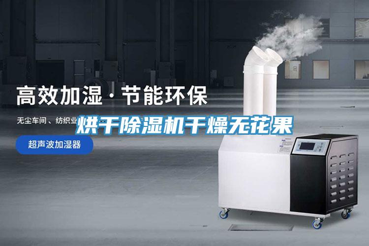 烘干除濕機干燥無花果