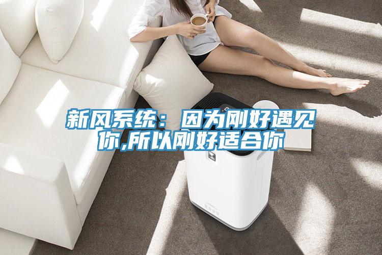 新風系統：因為剛好遇見你,所以剛好適合你