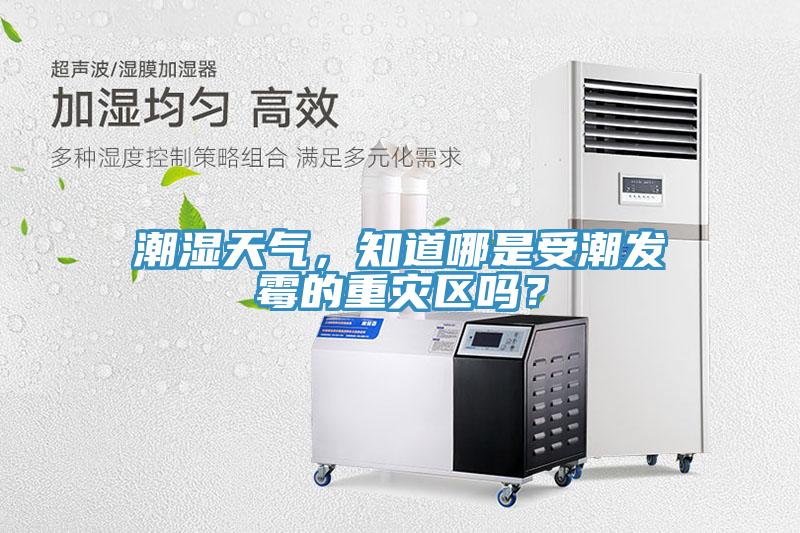 潮濕天氣，知道哪是受潮發(fā)霉的重災區(qū)嗎？
