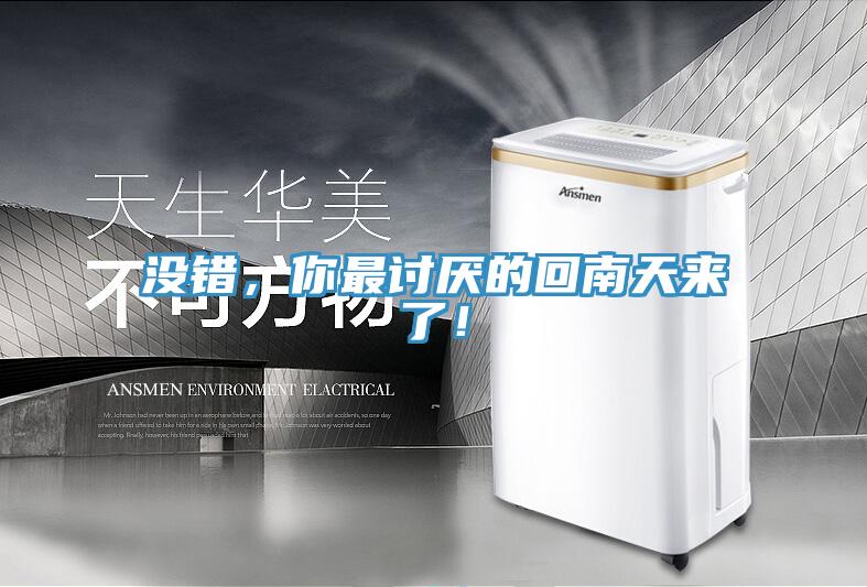 沒錯(cuò)，你最討厭的回南天來了！