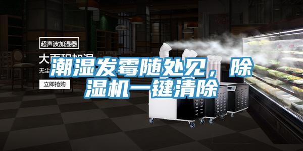 潮濕發(fā)霉隨處見，除濕機一鍵清除