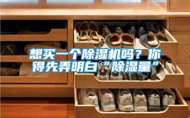 想買一個除濕機嗎？你得先弄明白“除濕量”
