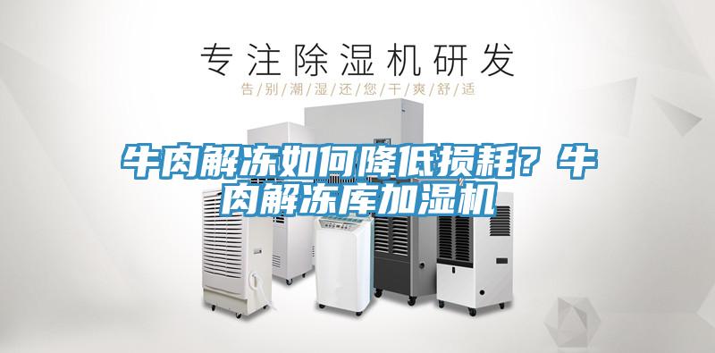 牛肉解凍如何降低損耗？牛肉解凍庫(kù)加濕機(jī)