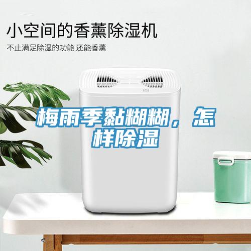梅雨季黏糊糊，怎樣除濕