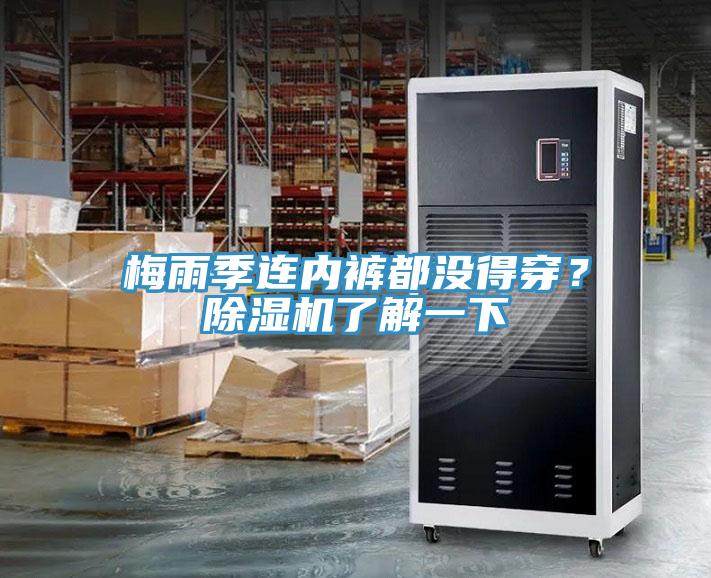 梅雨季連內(nèi)褲都沒得穿？除濕機(jī)了解一下
