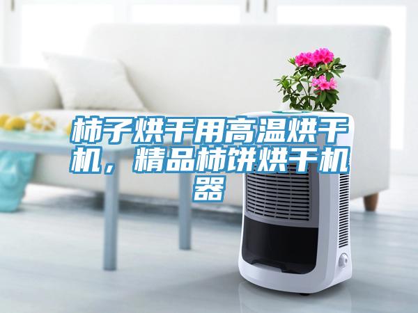 柿子烘干用高溫烘干機，精品柿餅烘干機器
