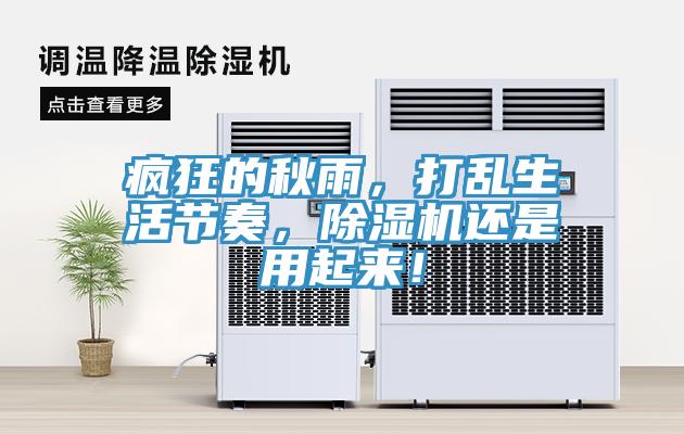瘋狂的秋雨，打亂生活節(jié)奏，除濕機(jī)還是用起來！