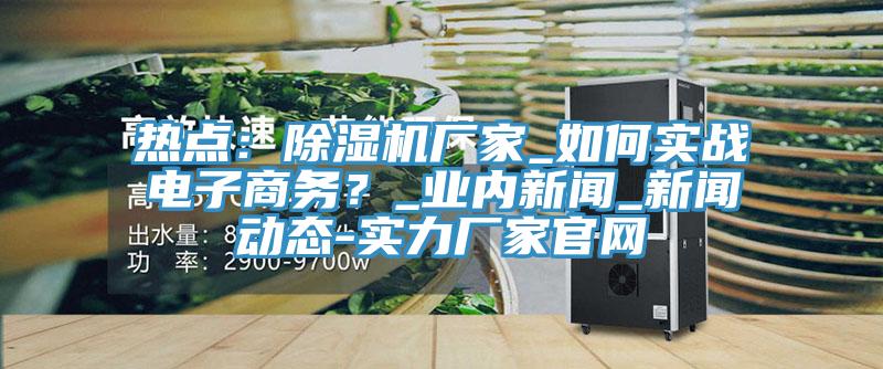 熱點(diǎn)：除濕機(jī)廠家_如何實(shí)戰(zhàn)電子商務(wù)？_業(yè)內(nèi)新聞_新聞動態(tài)-實(shí)力廠家官網(wǎng)