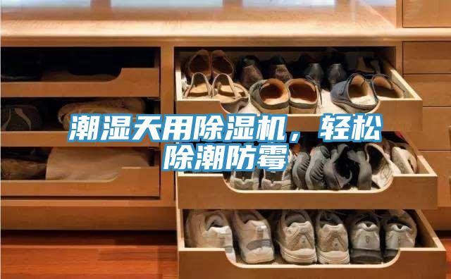 潮濕天用除濕機(jī)，輕松除潮防霉