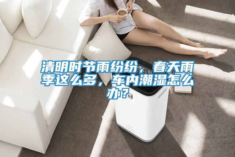 清明時(shí)節(jié)雨紛紛，春天雨季這么多，車內(nèi)潮濕怎么辦？