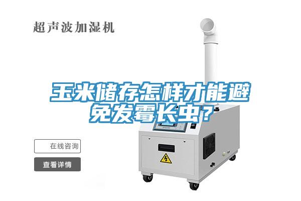 玉米儲(chǔ)存怎樣才能避免發(fā)霉長(zhǎng)蟲(chóng)？