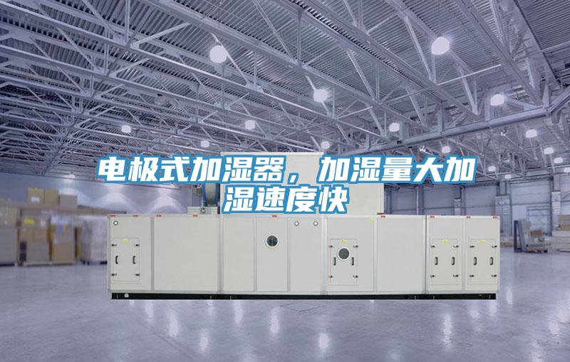 電極式加濕器，加濕量大加濕速度快