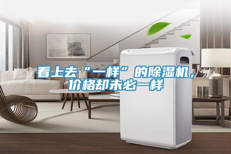 看上去“一樣”的除濕機(jī)，價(jià)格卻未必一樣