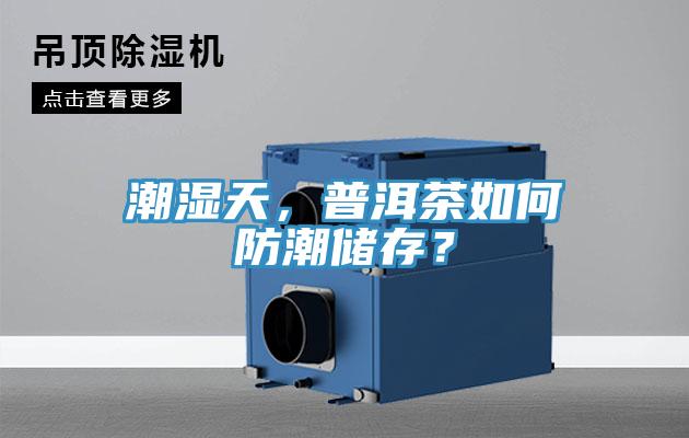 潮濕天，普洱茶如何防潮儲存？