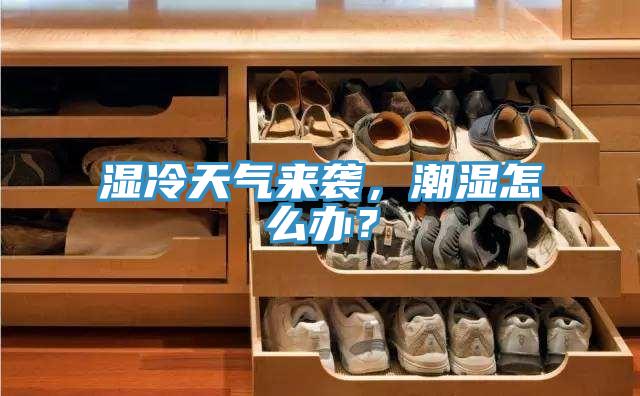 濕冷天氣來襲，潮濕怎么辦？