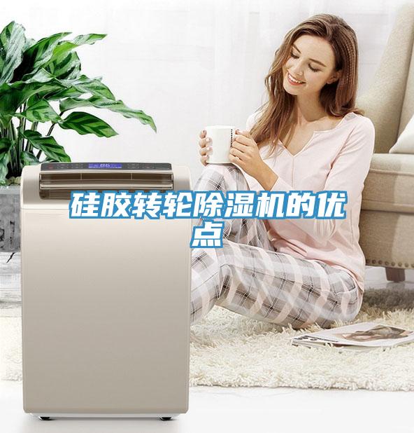 硅膠轉(zhuǎn)輪除濕機的優(yōu)點