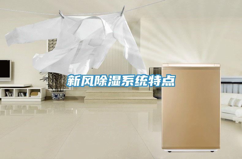 新風(fēng)除濕系統(tǒng)特點